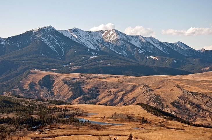 Dive into Custer Gallatin National Forest